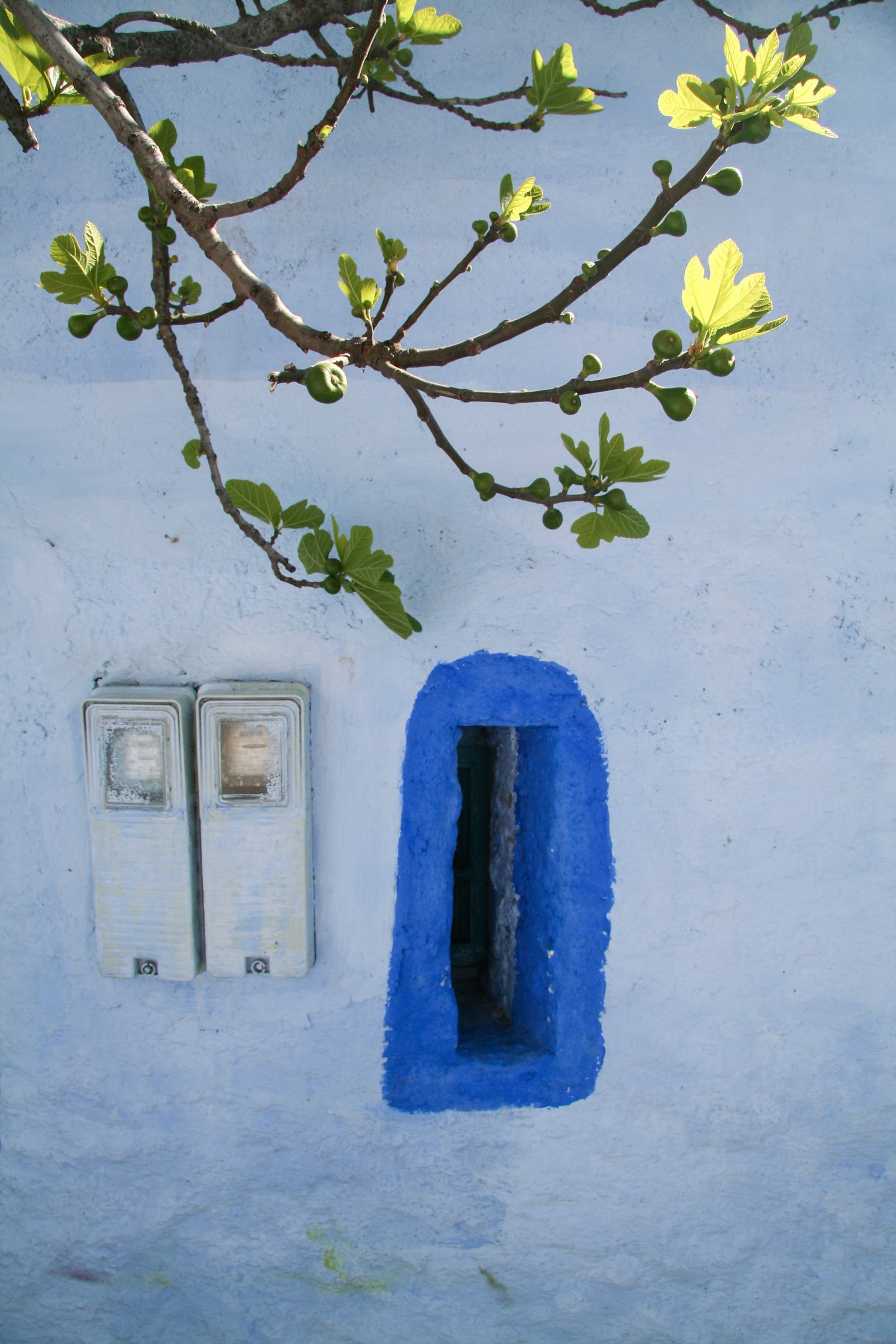 Julius Honnor Photography