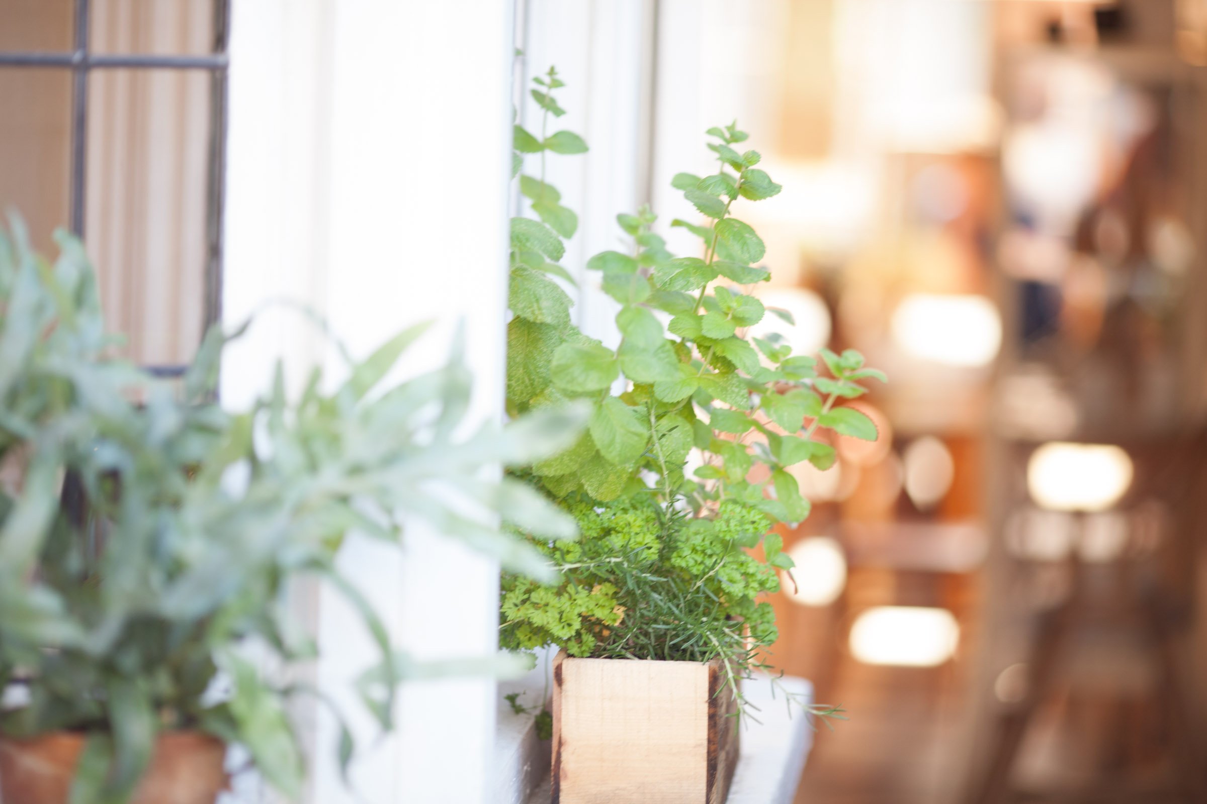 Bygga Bo