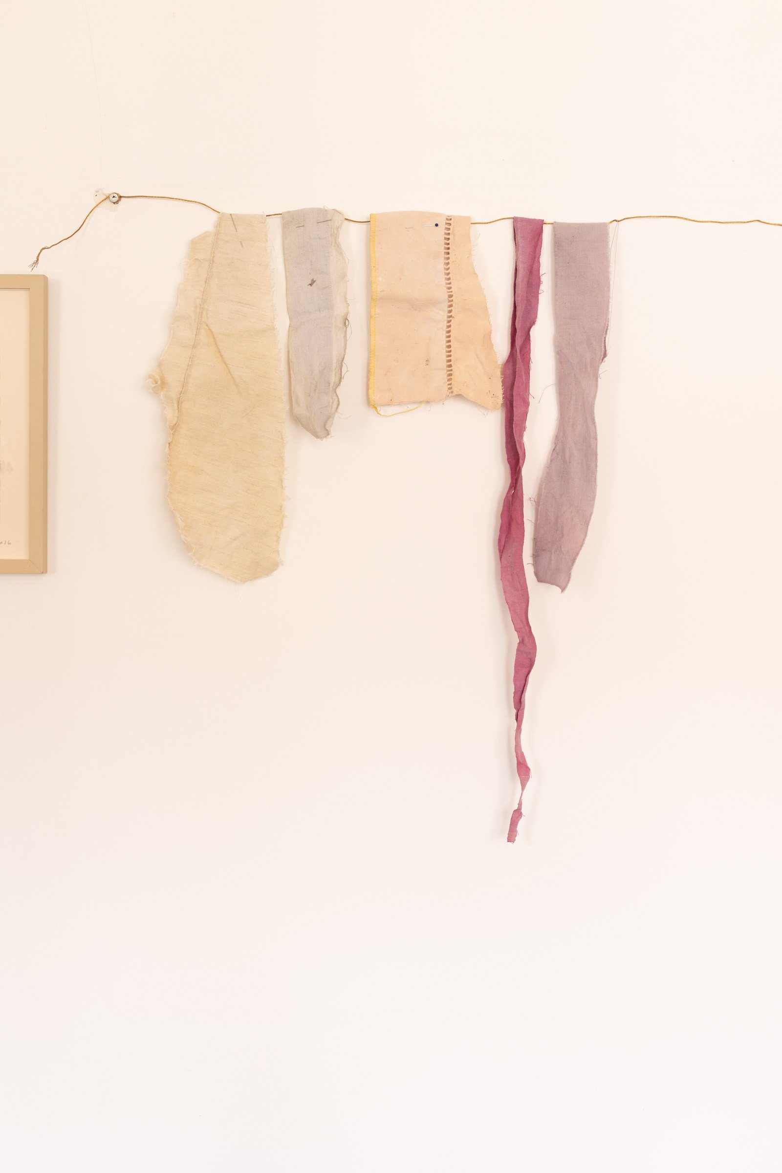 Grow, Cook, Dye, Wear
